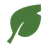 BayLeaf logo
